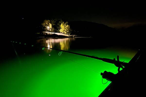 Georgia Lakes Night Fishing Trip