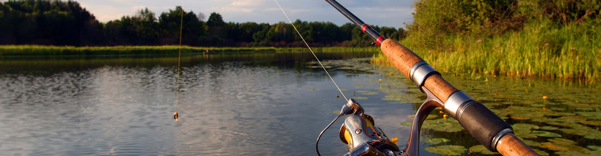 Fishing pole with line in the water in North Georgia lake