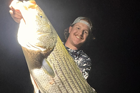  Close up view of fish caught on night fishing trip.